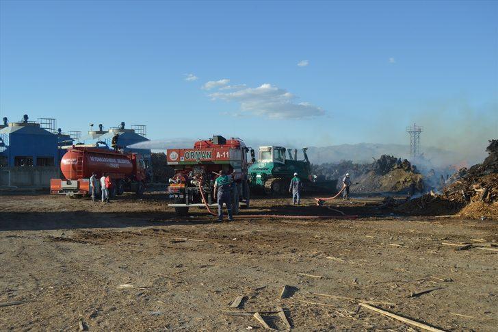 GÜNCELLEME- Afyonkarahisar'da biyokütle enerji santralinde yangın çıktı G5