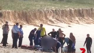 Ölümcül saldırı! Avustralyalı sörfçü, köpek balığı saldırısında hayatını kaybetti