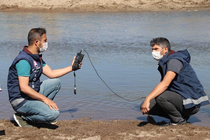 Van'da üremek için tatlı sulara göç eden inci kefallerinin ölüm nedeni araştırılıyor G1