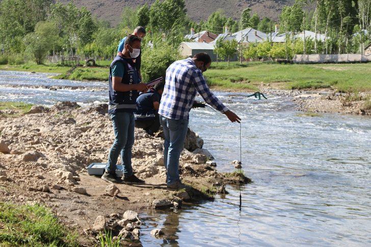 Van'da üremek için tatlı sulara göç eden inci kefallerinin ölüm nedeni araştırılıyor G2