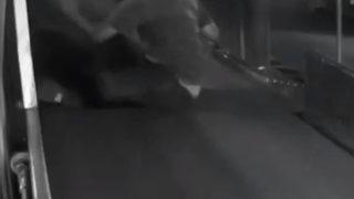 ABD'de havalimanında bagaj taşıma bandına giren otizmli çocuk korkuttu