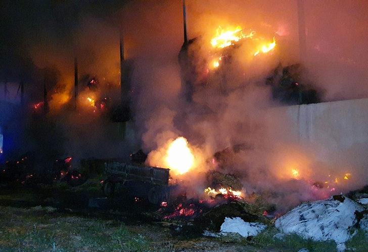 Ayd�n'da korkutan yang�n!