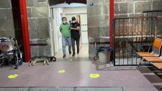 İzmir'de FETÖ'nün gaybubet evlerine operasyon: Çok sayıda gözaltı