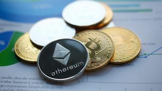 Piyasaya yeni giriş yapan Shiba hayalleri yıktı: Yüzde 57 oranında düştü!