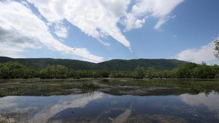 Yeşilin binbir tonunun suya karıştığı Karacabey Langozu görenleri büyülüyor
