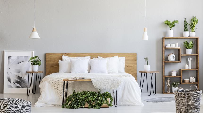 Yatak odasında bitki bulundurmak zararlı mı? Bu bitki isimlerini bir kenara not alın!