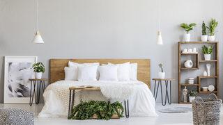 Yatak odasında bitki bulundurmak zararlı mı? Bu bitki isimlerini bir kenara not alın!