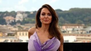 Angelina Jolie arılarla poz verdi: 18 dakika öylece durdu