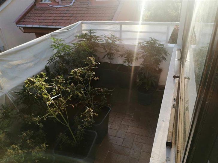 Muğla'da uyuşturucu operasyonlarında 3 şüpheli yakalandı G3