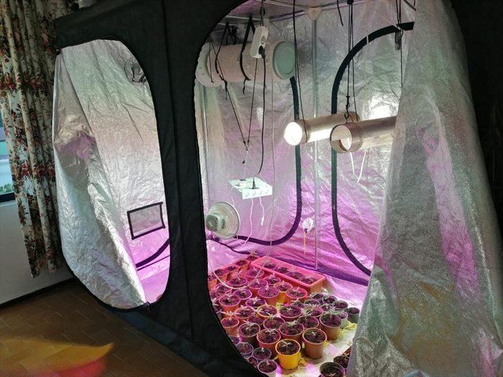 Muğla'da uyuşturucu operasyonlarında 3 şüpheli yakalandı G4