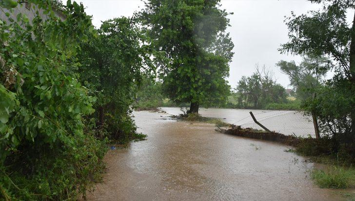 Çanakkale'de selden dolayı 9 koyun telef oldu, mısır ekili arazi sular altında kaldı G1