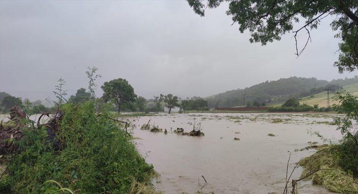 Çanakkale'de selden dolayı 9 koyun telef oldu, mısır ekili arazi sular altında kaldı G2