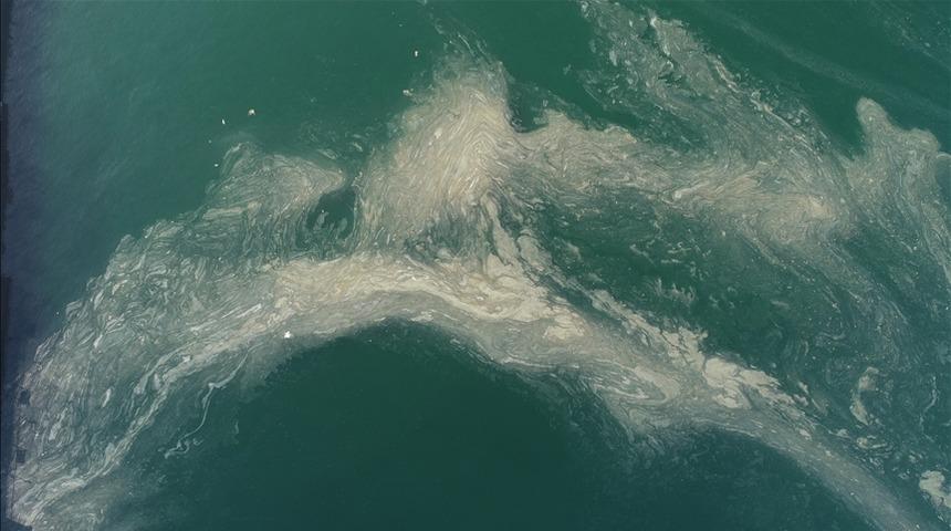 Deniz salyasının zararları nelerdir? Müsilaj (Deniz salyası) olan yerde denize girilir mi?