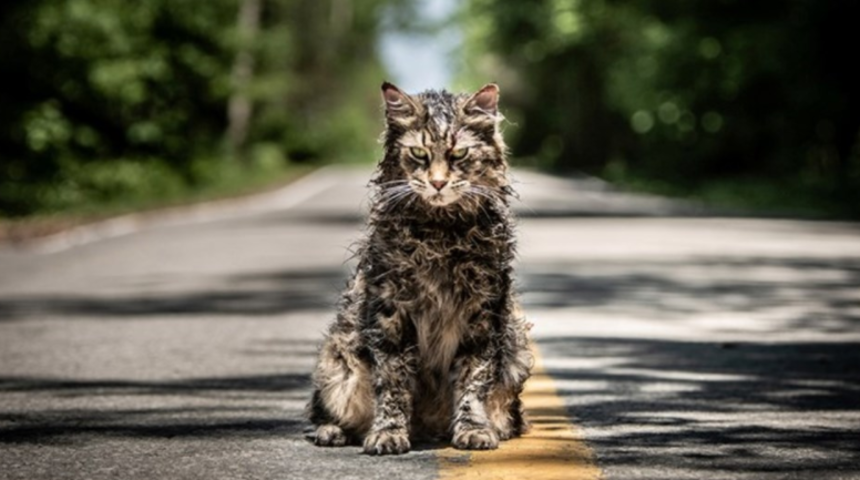 Hayvan Mezarlığı'nın (Pet Sematary) devam filmi geliyor