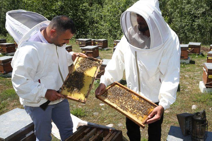 Baba mesleğini sürdüren kardeşler ana arı talebine yetişemiyor G2