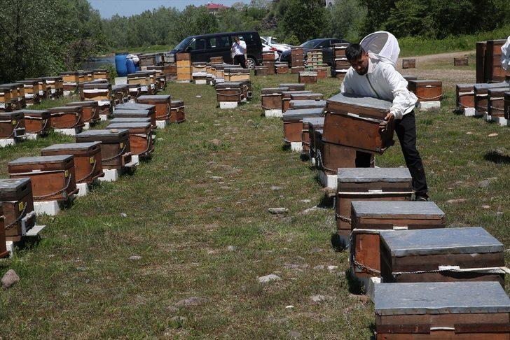 Baba mesleğini sürdüren kardeşler ana arı talebine yetişemiyor G3