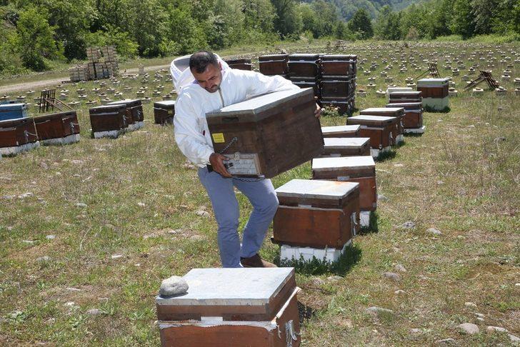 Baba mesleğini sürdüren kardeşler ana arı talebine yetişemiyor G4