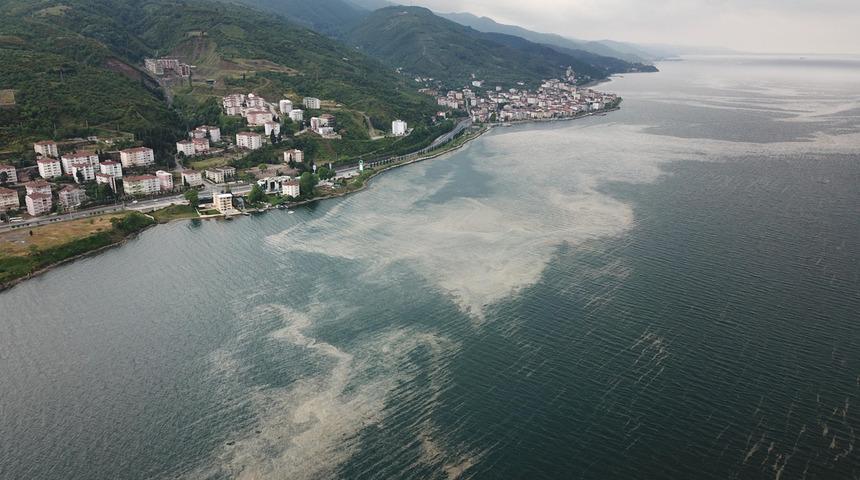Deniz salyası İzmit Körfezi’ne geri döndü