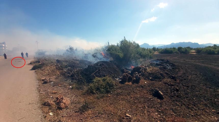 Yangın alanından kaçmaya çalışan yılan aracın altında kalarak öldü