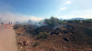 Yangın alanından kaçmaya çalışan yılan aracın altında kalarak öldü