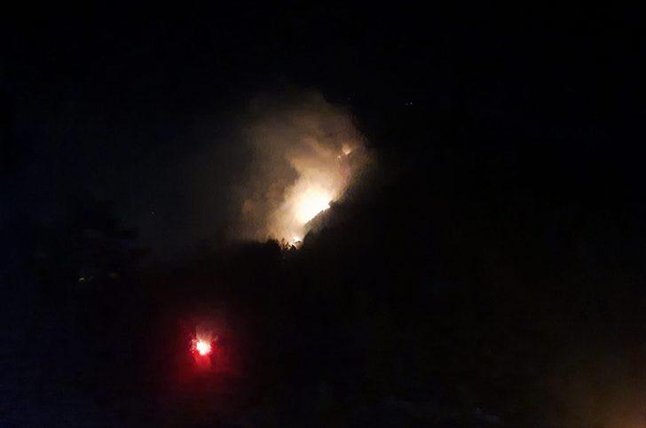 Manavgat'ta çıkan orman yangını kontrol altına alındı G1