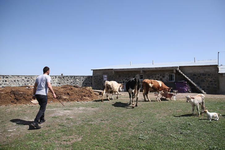 Devlet desteğiyle hayvancılığa başlayan eski hükümlü hayatında yeni sayfa açtı G1