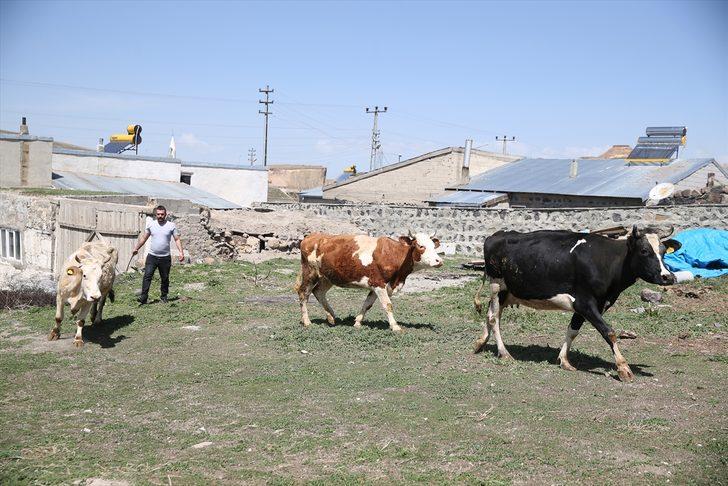 Devlet desteğiyle hayvancılığa başlayan eski hükümlü hayatında yeni sayfa açtı G3
