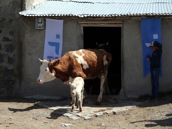 Devlet desteğiyle hayvancılığa başlayan eski hükümlü hayatında yeni sayfa açtı G4