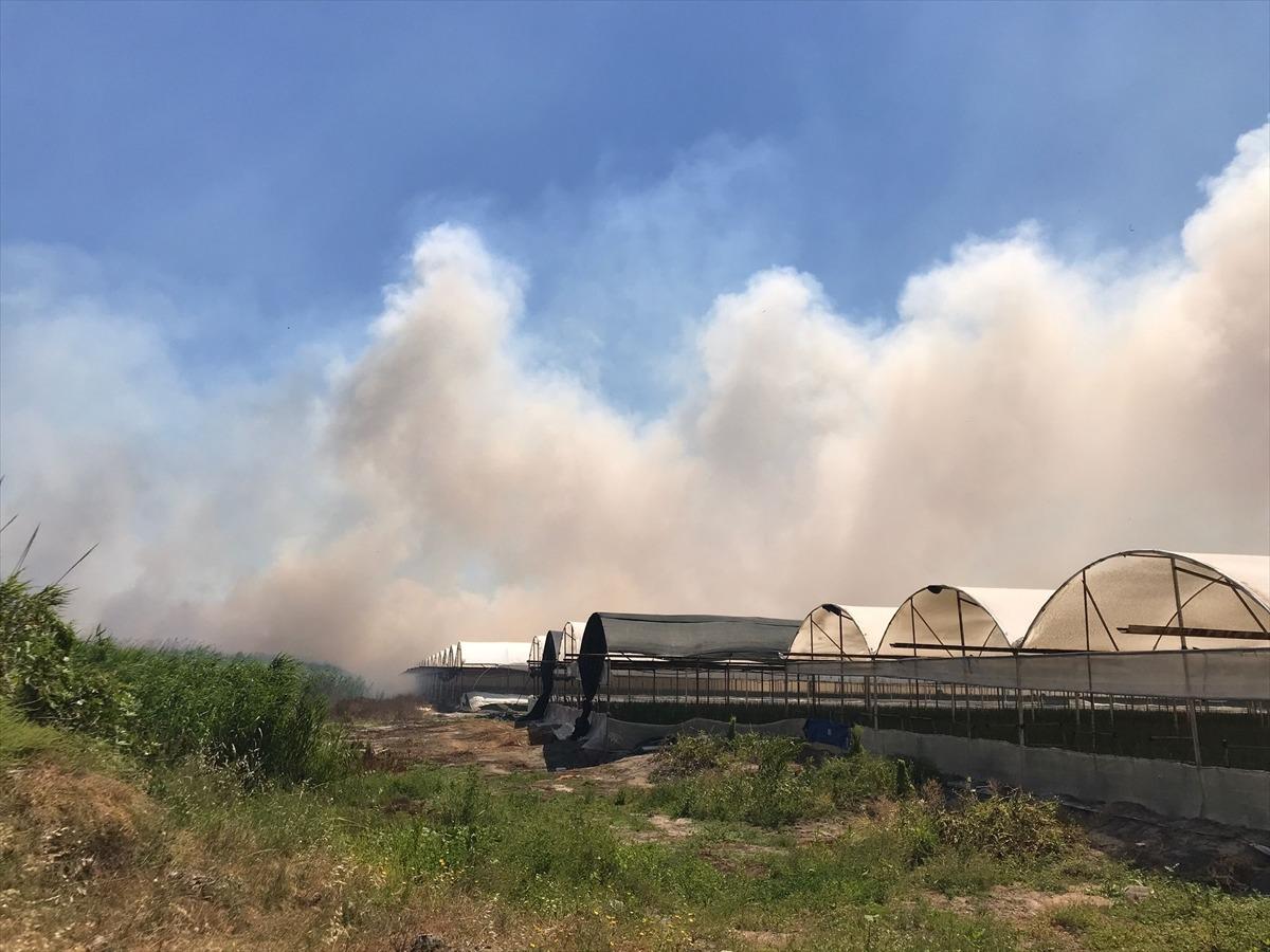 G&Uuml;NCELLEME - Antalya'da yerleşim yeri ve seralara yakın sazlık alanda &ccedil;ıkan yangın kontrol altına alındı