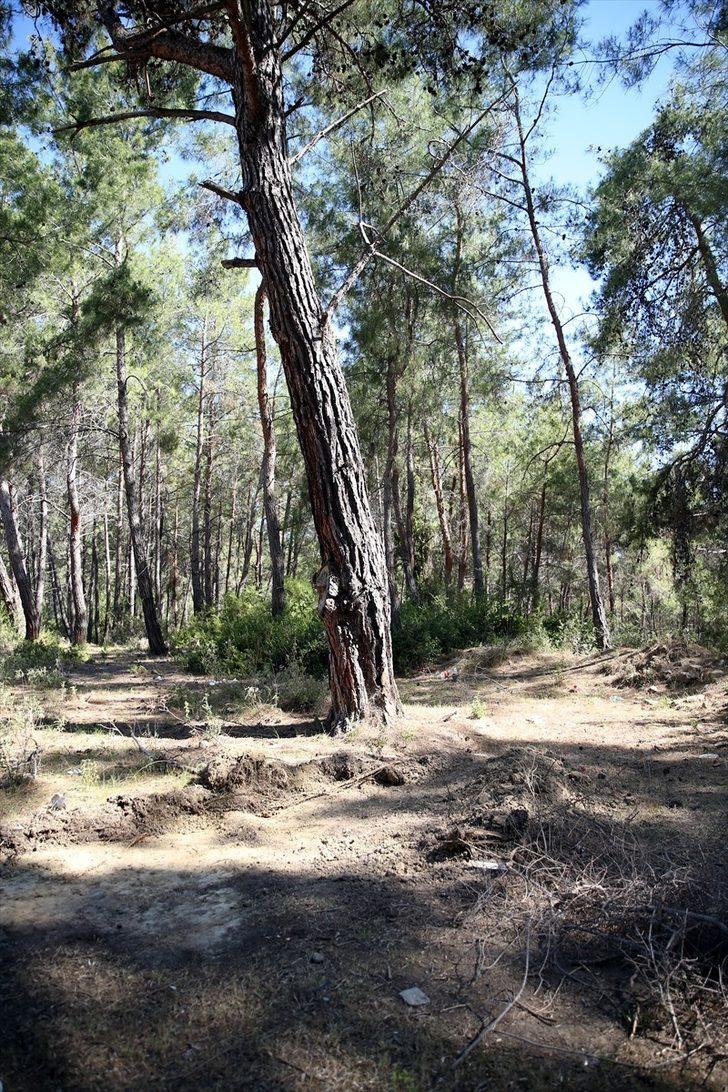 Antalya'da eşi tarafından öldürülüp çukura gömüldüğü iddia edilen kadının cenazesi adli tıptan alındı G1
