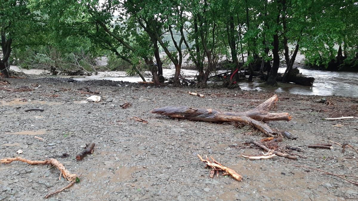 Bursa'da kuvvetli sağanaktan zarar g&ouml;ren ekili arazilerde zarar tespiti yapılıyor