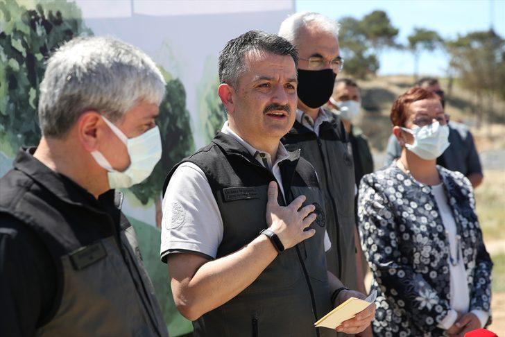 Bakan Bekir Pakdemirli, Adana'daki yangında ekili arazilerin zarar görmediğini bildirdi G1