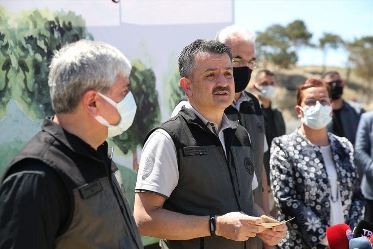 Bakan Bekir Pakdemirli, Adana'daki yangında ekili arazilerin zarar görmediğini bildirdi G4