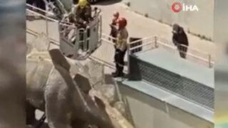 İspanya'da kayıp adamın cesedi dinozor heykelinin içinden çıktı