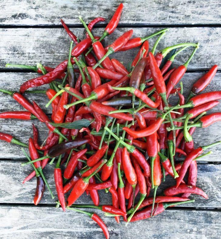 Bu besin vücutta iltihap bırakmıyor! İşte iltihabın geçmesinde çok etkili olan Cayenne Arnavut biberi G1