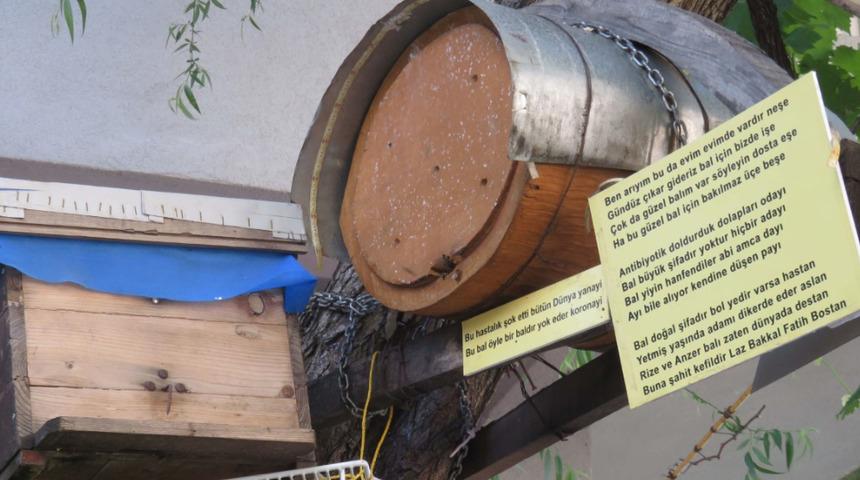  'Laz Bakkal' Rize'ye gidemedi Kadıköy'de sokak ortasında arı kovanı kurdu