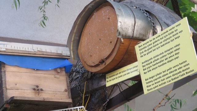 'Laz Bakkal' Rize'ye gidemedi Kadıköy'de sokak ortasında arı kovanı kurdu