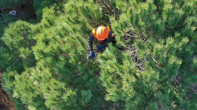 OGM 2083 işçi alımı başvuru şartları belli oldu! İşte OGM işçi alımı ilanı ve başvuru yapılacak kadrolar