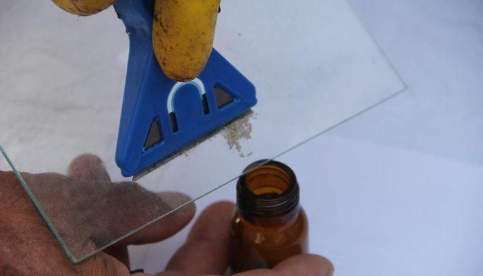 Gramı 500 TL olan arı zehri Adıyaman’da üretilmeye başlandı