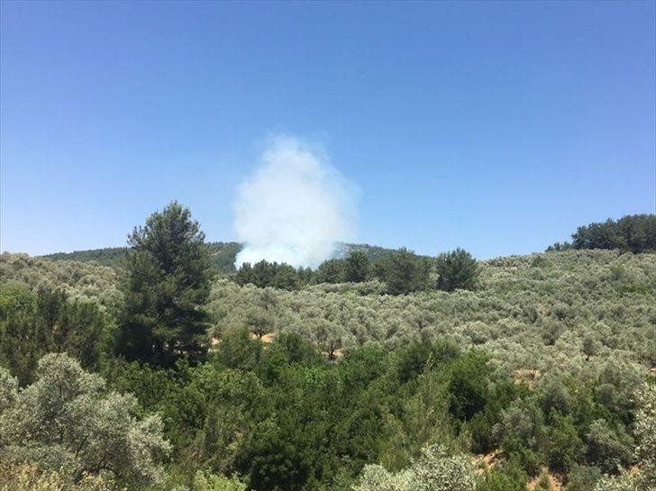 Muğla'da çıkan orman yangını kontrol altına alınmaya çalışılıyor G1