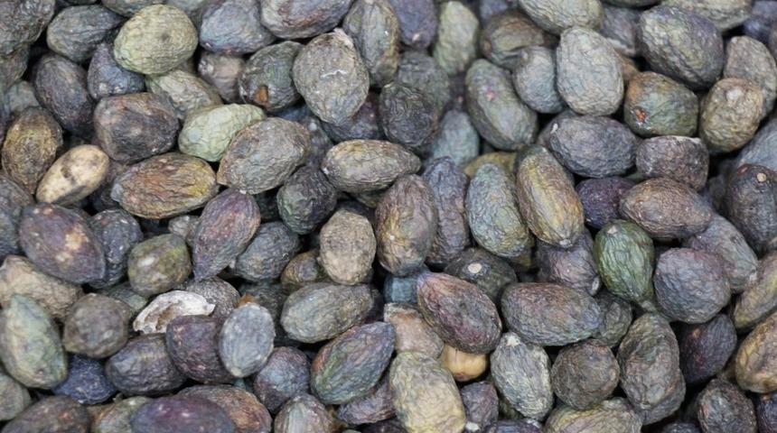 Faydaları saymakla bitmiyor, fiyatı el yakıyor