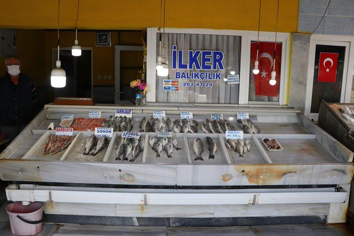 Tekirdağ'da devam eden deniz salyası nedeniyle balık fiyatları düşmüyor G1
