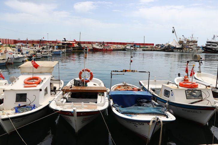 Tekirdağ'da devam eden deniz salyası nedeniyle balık fiyatları düşmüyor G5