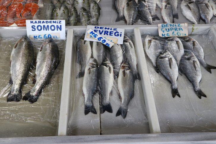 Tekirdağ'da devam eden deniz salyası nedeniyle balık fiyatları düşmüyor G3