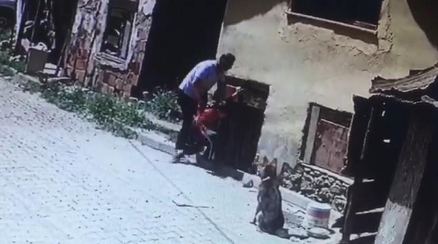 Kastamonu'da korkunç olay! Engelli çocuğu köpeklerin önüne attı