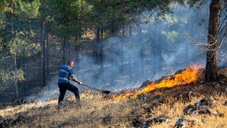 Hatay'da çıkan örtü yangını kontrol altına alındı