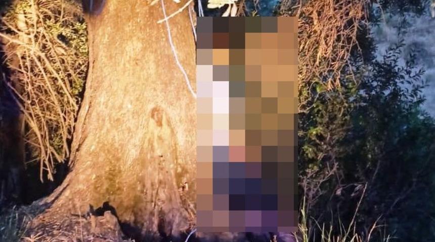 Korkunç manzara dehşete düşürdü! Zeytin ağacında asılı halde bulundu