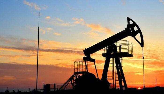 Bakanı Dönmez'den yeni petrol keşfi açıklaması: Hedefimiz 2023'te 100 bin varile çıkmak