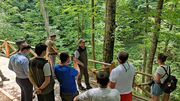 Bursa'da Orman Genel Müdürlüğünce oluşturulan Oylat Şelalesi Ekoturizm Parkuru açıldı G3