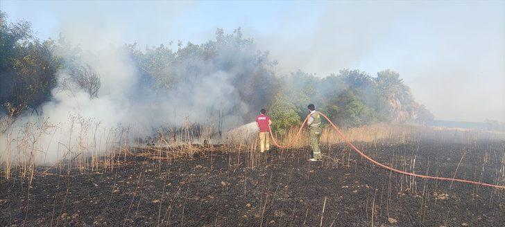 Muğla'da buğday ekili tarlada çıkan yangında 17 dönüm alan zarar gördü G1